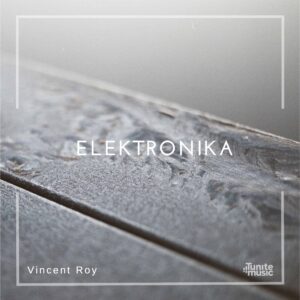 Elektronika Vincent Roy