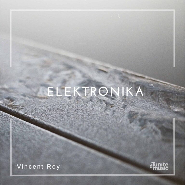 Elektronika Vincent Roy