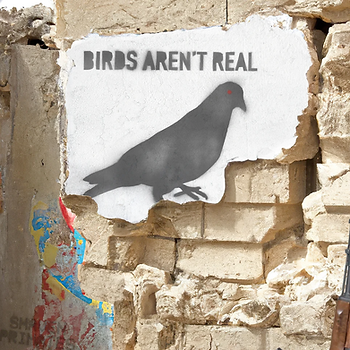 Birds Aren't Real by Shaven Primates
