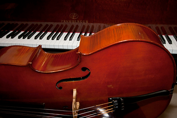 Tune of the Week: Wanderer Sonata for Piano and Cello Movement #3 by Ethan Lazarus