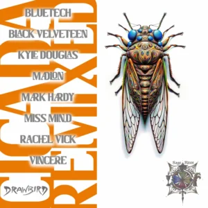 When Ritual Learns to Dance, Drawbird’s Cicada Remixed