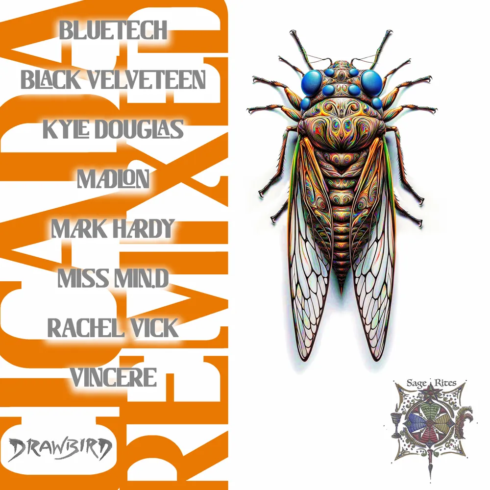 When Ritual Learns to Dance, Drawbird’s Cicada Remixed