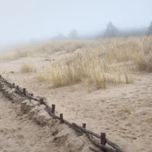 At the Shore by Vik Ho, When Guitar Harmony Crosses Borders