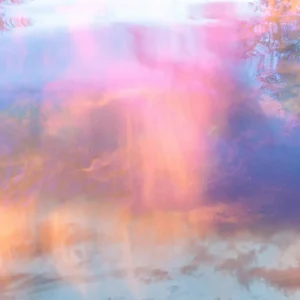 For Those Who Stay by Hollie Kenniff