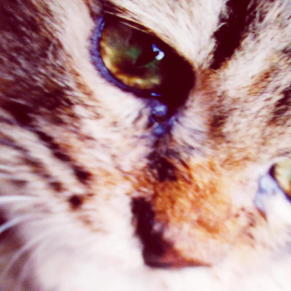 Sascha by Shxdowpvlse