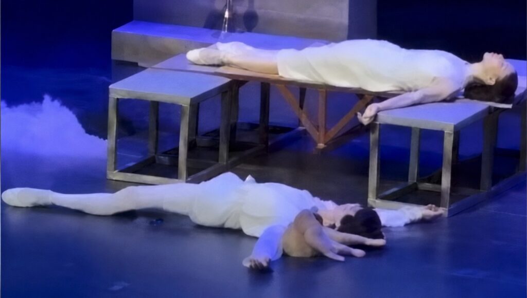 Cat Turns Tragic Romeo & Juliet Ballet into Comedy